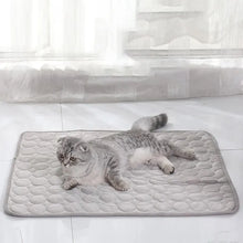 Kühlmatte für Hunde & Katzen – Selbstkühlende Pet Ice Mat für den Sommer