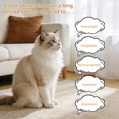 Cat Running Exercise Wheel Treadmill, Ultra-Quiet Safety Cat Training Toy, Removable Carpeted Runway for Running & Scratching 85.5*80*33.5cm