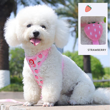 Cute Fruit Pet Harness & Leash Set - Soft Breathable Puppy Kitten Walking Gear - Summer