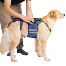 Dog Back Brace - Adjustable Spine Support Harness - Post Surgery Recovery Aid - Back Protection