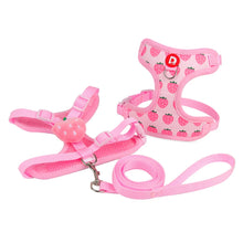 Cute Fruit Pet Harness & Leash Set - Soft Breathable Puppy Kitten Walking Gear - Summer