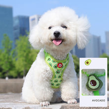 Cute Fruit Pet Harness & Leash Set - Soft Breathable Puppy Kitten Walking Gear - Summer