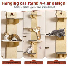 Cat Door Hanger.
