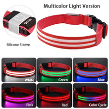 LED Hundehalsband wiederaufladbar – Leuchthalsband für Hunde mit USB und hoher Sichtbarkeit