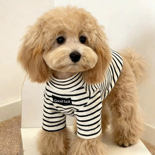 Autumn Winter Dog Thermal Shirt - Striped Warm Sweater for Small Breeds Puppies