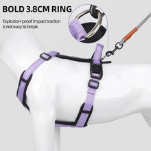 Pet Harness With Leash Vest For Dogs