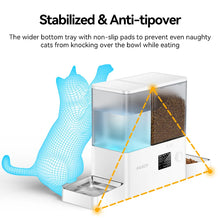 ROJECO 8.5L Automatic Dog & Cat Feeder with Water Fountain – 2-in-1 Food Dispenser & Drinking Station