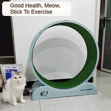 Cat Treadmill Silent Wear-Resistant