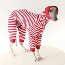 Striped Cotton Dog Pajamas for Italian Greyhounds & Whippets