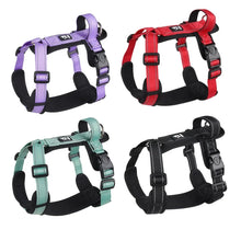 Pet Harness With Leash Vest For Dogs