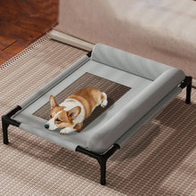 Elevated Mesh Dog Bed with Pillow – Breathable Raised Indoor & Outdoor Pet Bed