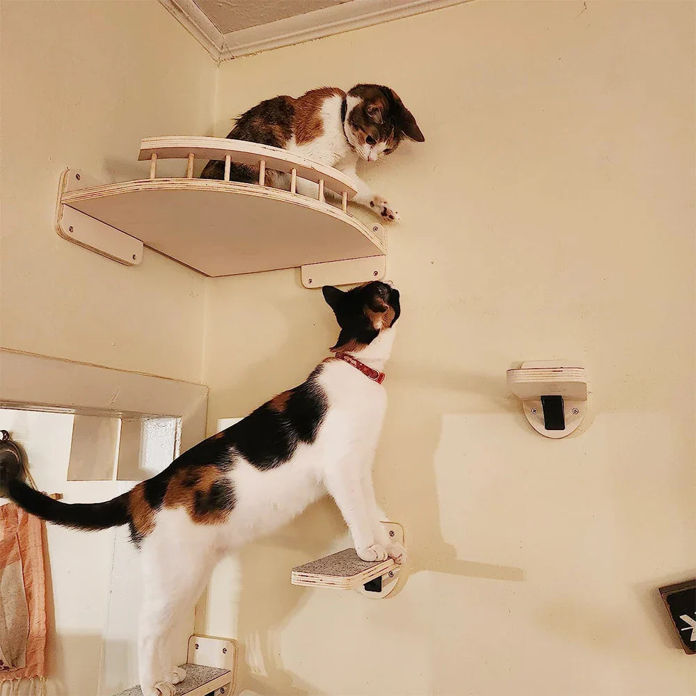 Katzen Kletterwand mit Hängematte – Wandmontierter Eck-Kratzbaum mit Stufen