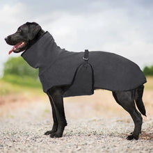 Windproof Winter Dog Coat - Warm Protective Jacket for Cold Weather Outdoor Dogs