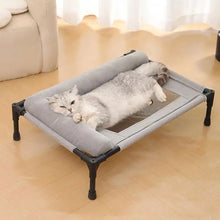 Elevated Mesh Dog Bed with Pillow – Breathable Raised Indoor & Outdoor Pet Bed