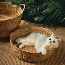 Cool Weave Basket Bed for Cats and Small Dogs Breezy Rattan Retreat