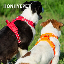 Hundegeschirr für große und mittelgroße Hunde – Truelove Outdoor Brustgeschirr