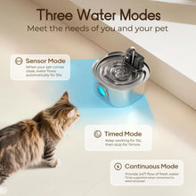 Automatic Cat Water Fountain – 3L Stainless Steel Wireless Rechargeable Pet Water Fountain with Motion Sensor