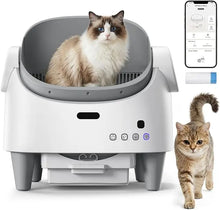Self Cleaning Cat Litter Tray Monitoring Features, App Control Automatic Litter Tray, Adjustable Height Advanced Odour Control