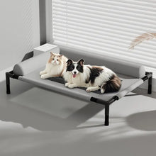 Elevated Mesh Dog Bed with Pillow – Breathable Raised Indoor & Outdoor Pet Bed
