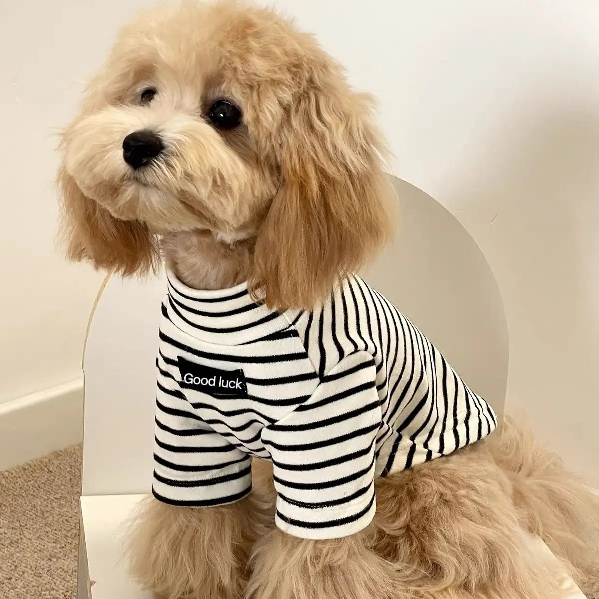 Autumn Winter Dog Thermal Shirt - Striped Warm Sweater for Small Breeds Puppies