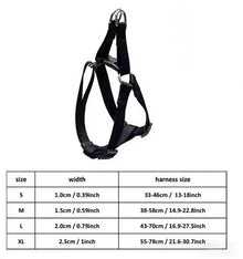 Dog Muzzle Collar - Adjustable Training Halter - Anti-Bite Pet Leash - Dog Safety Accessory