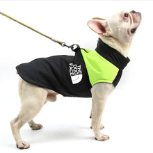 Waterproof Dog Coat – Warm Winter Jacket for Small, Medium & Large Dogs