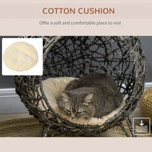 Rattan Cat Bed – Elevated Ball-Shaped Cat House with Removable Cushion for Indoor Cats