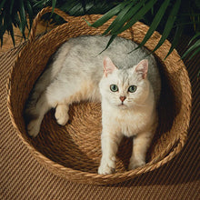 Cool Weave Basket Bed for Cats and Small Dogs Breezy Rattan Retreat