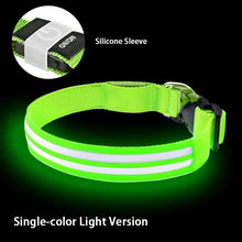 LED Hundehalsband wiederaufladbar – Leuchthalsband für Hunde mit USB und hoher Sichtbarkeit
