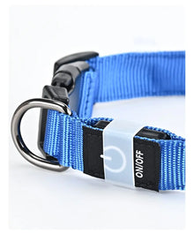 LED Hundehalsband wiederaufladbar – Leuchthalsband für Hunde mit USB und hoher Sichtbarkeit