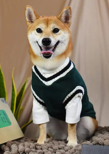 Winter Warm Pet Dog Sweater - College Style V-Neck Knitwear Vest for Small Dogs