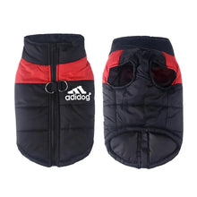 Waterproof Dog Coat – Warm Winter Jacket for Small, Medium & Large Dogs