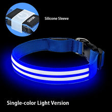 LED Hundehalsband wiederaufladbar – Leuchthalsband für Hunde mit USB und hoher Sichtbarkeit