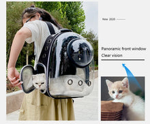 Cat Carrier Transparent