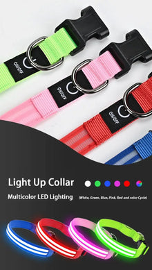 LED Hundehalsband wiederaufladbar – Leuchthalsband für Hunde mit USB und hoher Sichtbarkeit