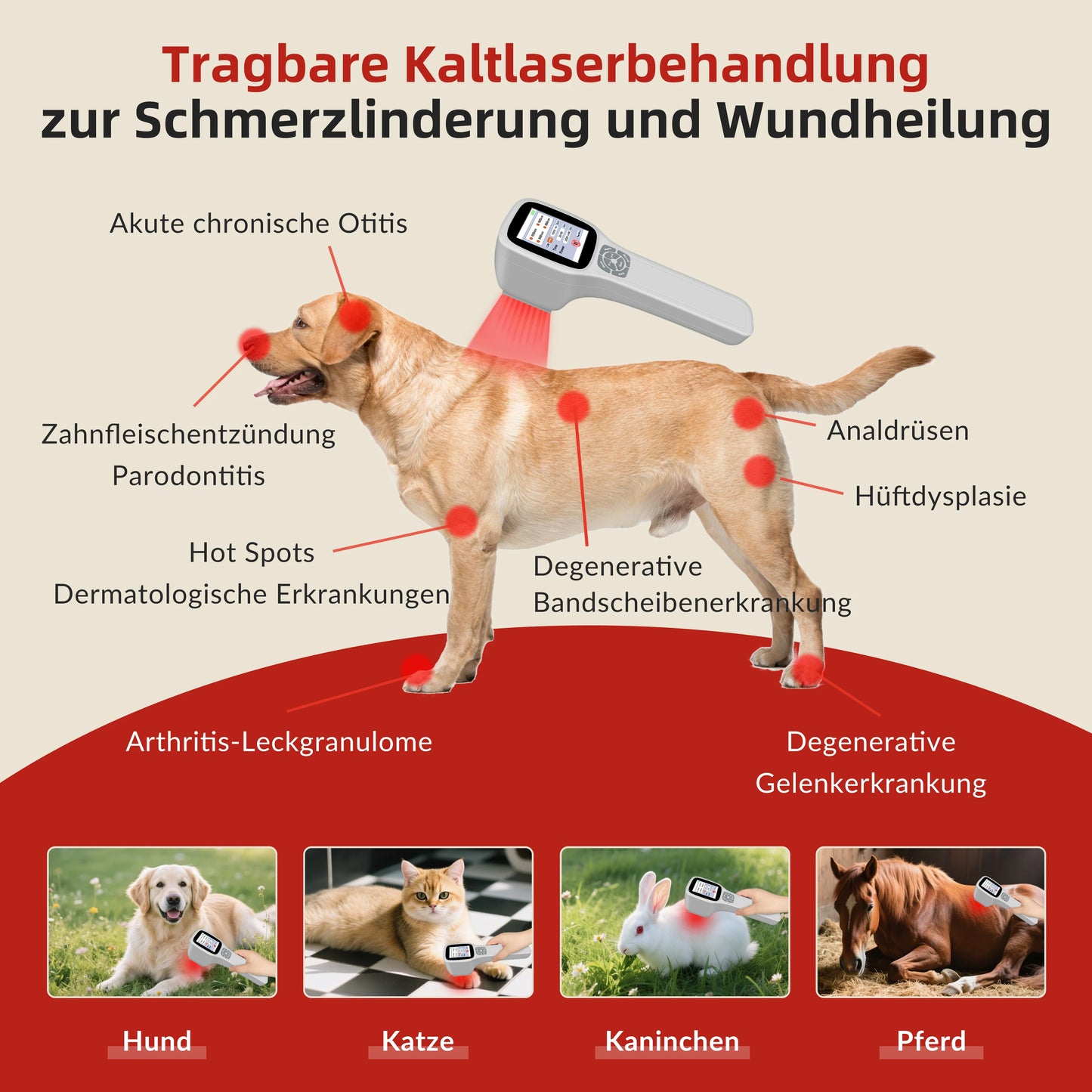 Cold Laser Therapy Device for Post-Surgery Recovery Joint Pain Red Infrared Light Physiotherapy for Senior Pets Arthritis Relief