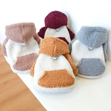 Fashion Cat Dog Hoodie - Winter Buckle Sweater Hooded Clothes for Small Dogs Puppies