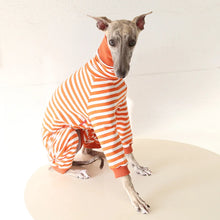 Striped Cotton Dog Pajamas - Italian Greyhound & Whippet Soft Breathable Stretch Sleepwear