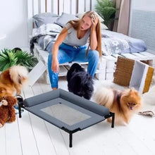 Elevated Mesh Dog Bed with Pillow – Breathable Raised Indoor & Outdoor Pet Bed