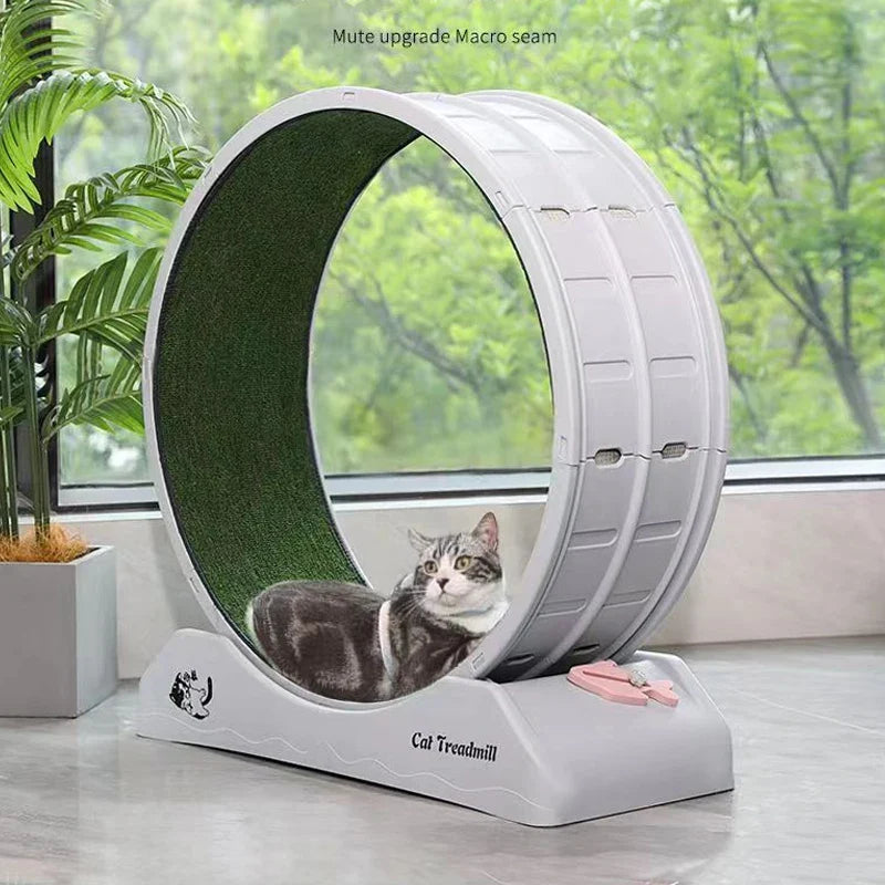 Cat Toys Silent Treadmill Wear-Resistant