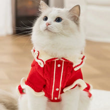 Winter Pet Dog Sweater - Luxury Knitted Princess Dress with Flower Print for Pets