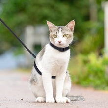 Adjustable Cat Harness - Escape Proof Safety Vest - Leash Set - For Cats & Puppies