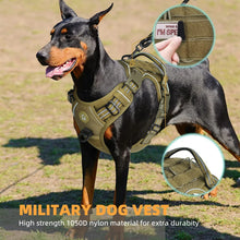 Empower your dog's inner explorer and reclaim your daily walks with a tactical, no-pull sanctuary built for ultimate safety and seamless control.