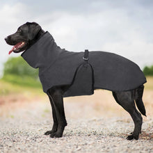 Windproof Winter Dog Coat - Warm Protective Jacket for Cold Weather Outdoor Dogs