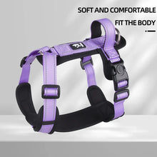 Pet Harness With Leash Vest For Dogs
