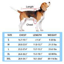 Dog Back Brace - Adjustable Spine Support Harness - Post Surgery Recovery Aid - Back Protection