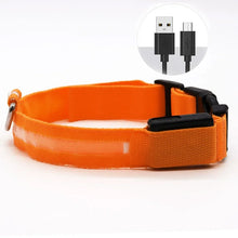 LED Light Dog Collar - USB Rechargeable Flashing Pet Safety Harness - Adjustable Small Large Dogs