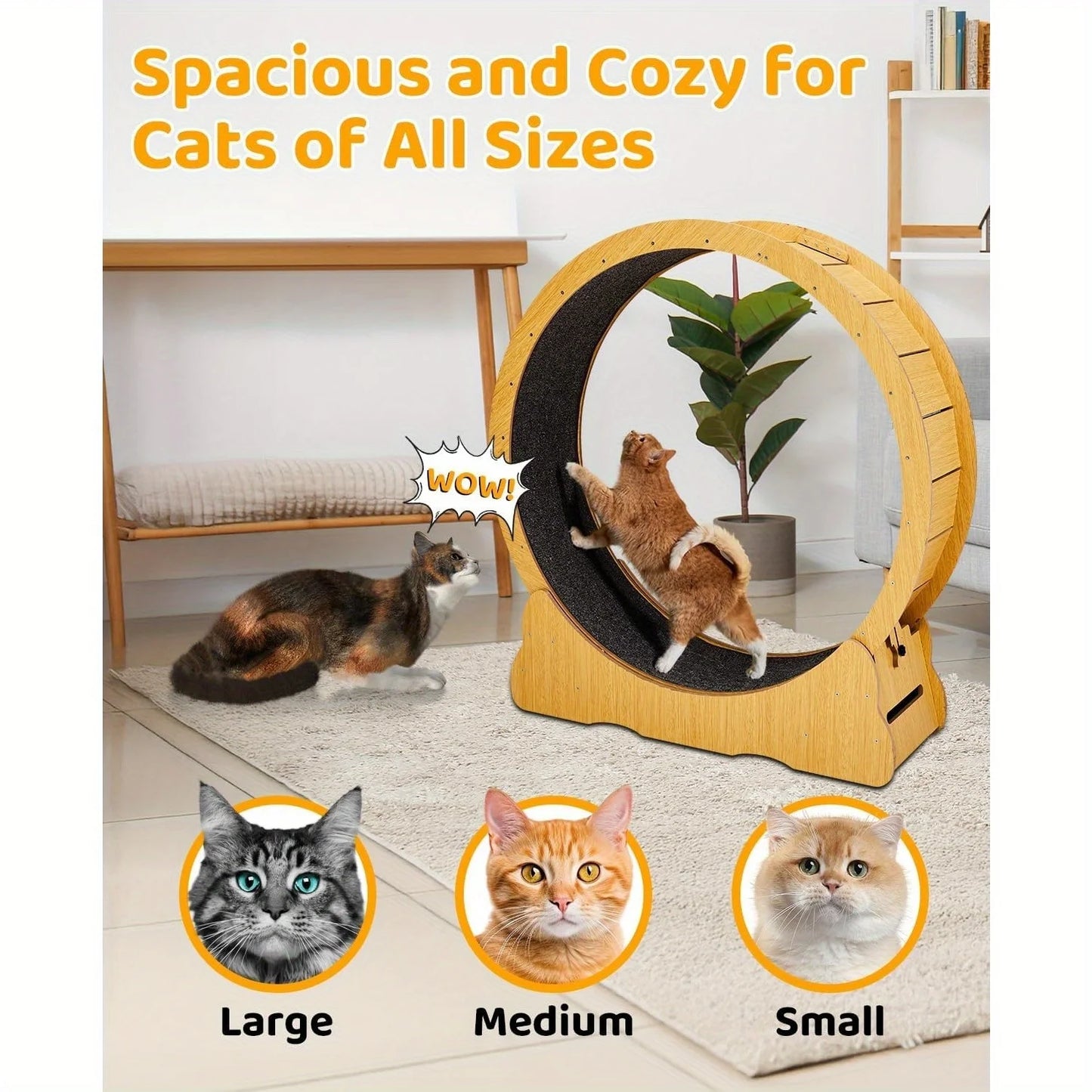 Indoor Cat Exercise Wheel with Silent Spinning Motion & Safety Lock - Large Cat Treadmill for Fitness, 110x34.5x116cm, Durable