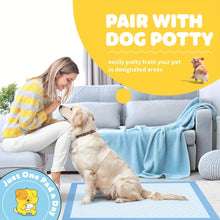 X-Large Blue Dog Pee Pads.