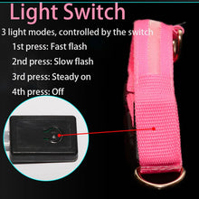 LED Light Dog Collar - USB Rechargeable Flashing Pet Safety Harness - Adjustable Small Large Dogs